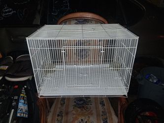 Wife bird page