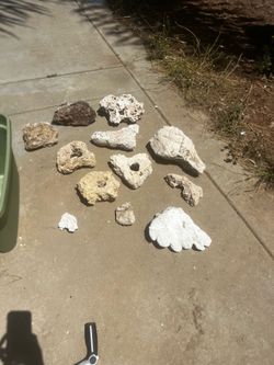 Assorted reef / aquarium rocks.