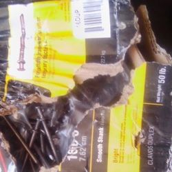  3  1/4 Inch 16 d  Bright Duplex Nails 