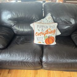 Leather Couch 