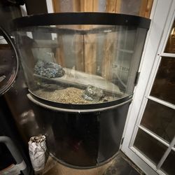 Corner Fish Tank