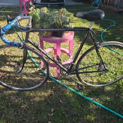 Vintage Univega Bicycle 