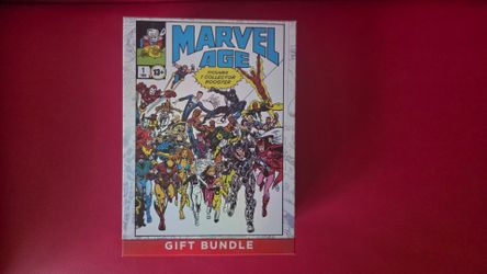 Marvel gift bundle