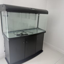 100 Gallon Fish Tank
