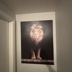 Lion Wall Canvas