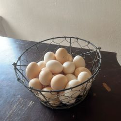 Chicken eggs