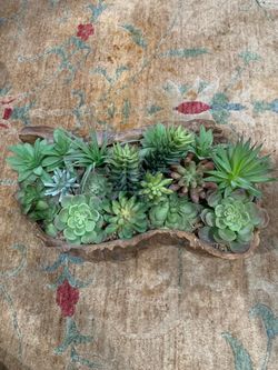 Table Decor