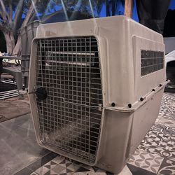 Large dog Crate 