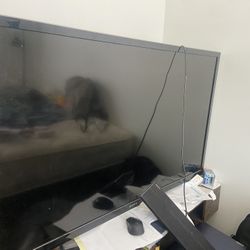 Sony Bravia