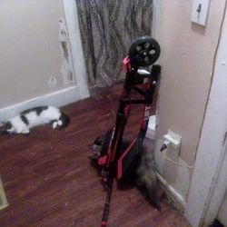 Y Filker Lift Scooters