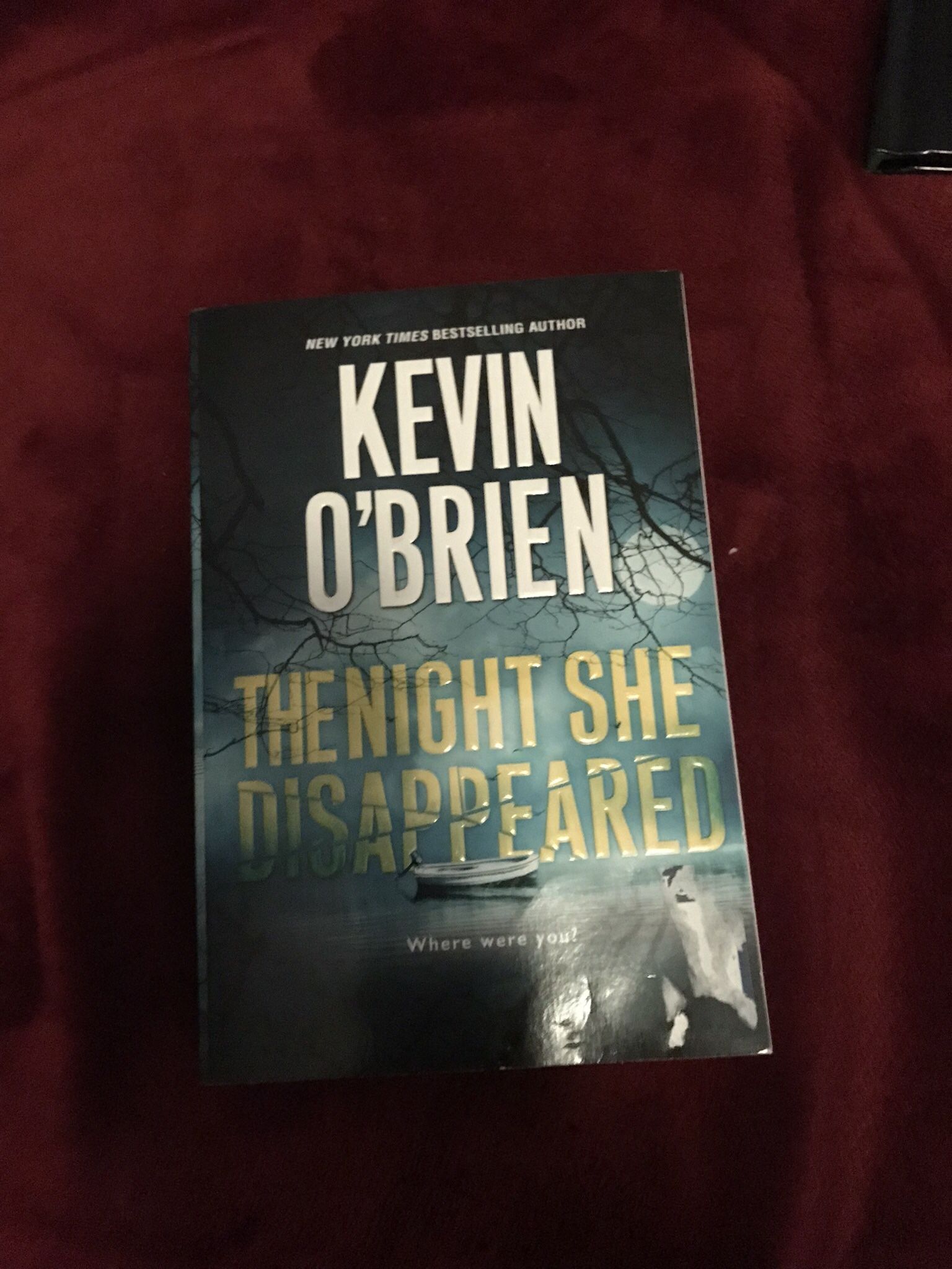 Used Paperback Book The Night She Disappeared