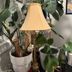 Antique Lamp $50