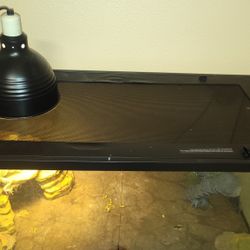 Bearded Dragon Enclosure 