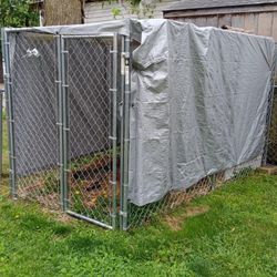 Dog Cage, Tarp, Fence