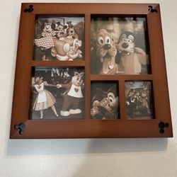 Disney World official picture frame