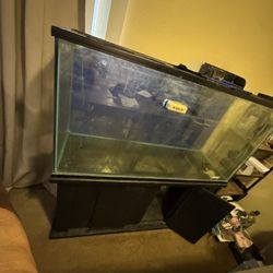 80 gal fish Tank & Stand + Accessories 