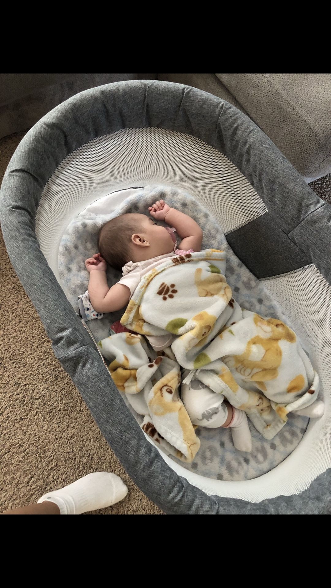 Baby Bassinet