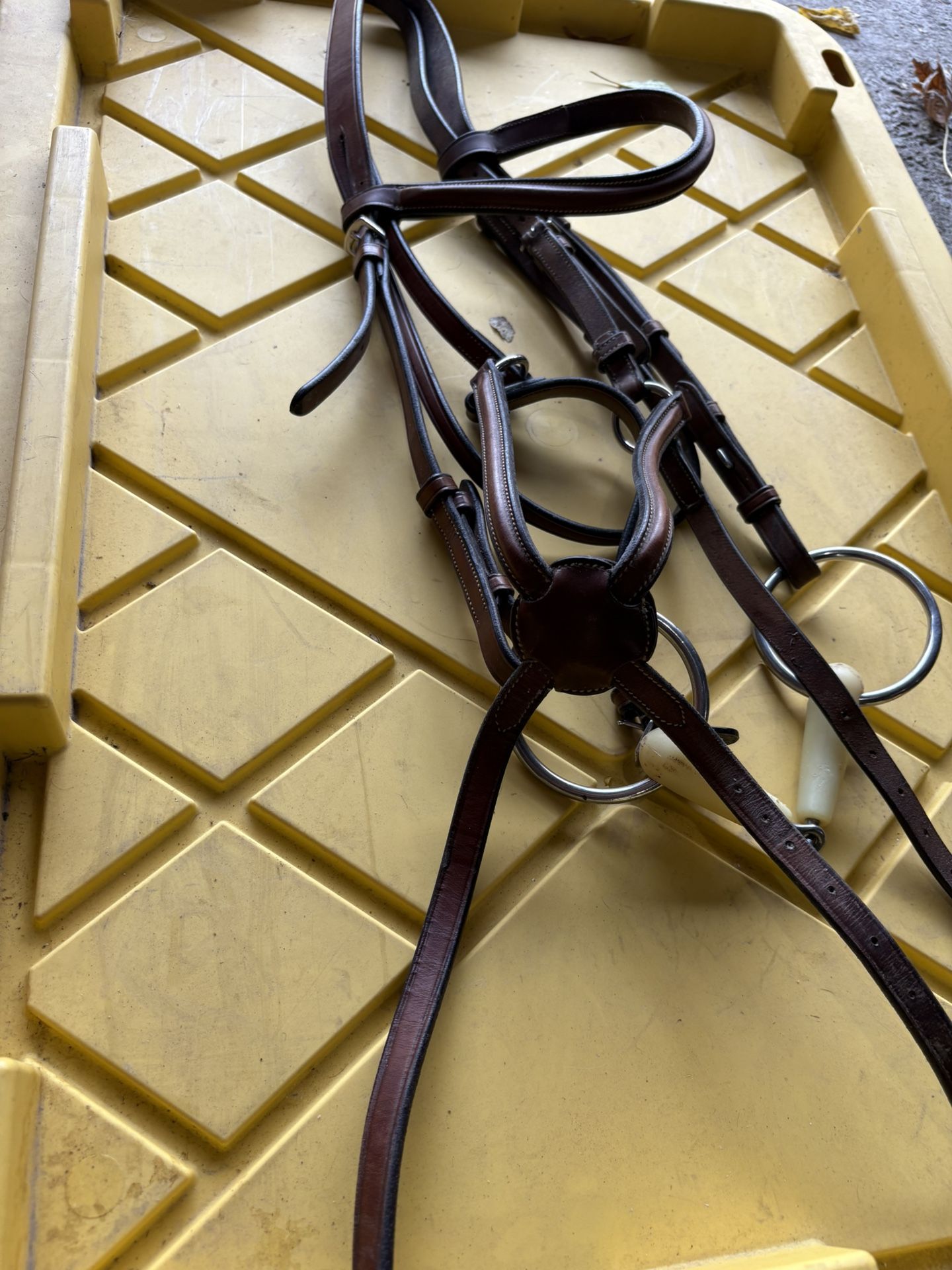 Bridle