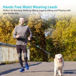 One Trail Correa De Perro Manos Libres 