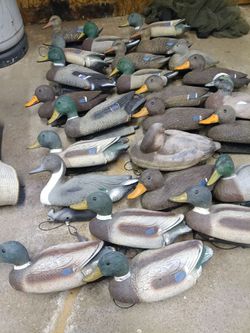 Duck decoys