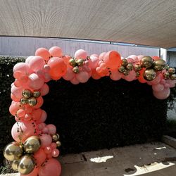 Balloon Garland