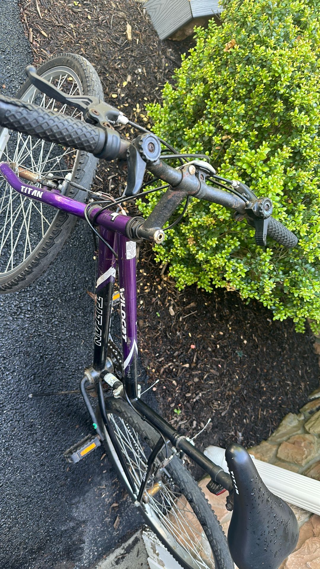 Women’s Bike