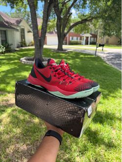 Kobe University Red (10.5M)