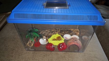 Hermit crab home