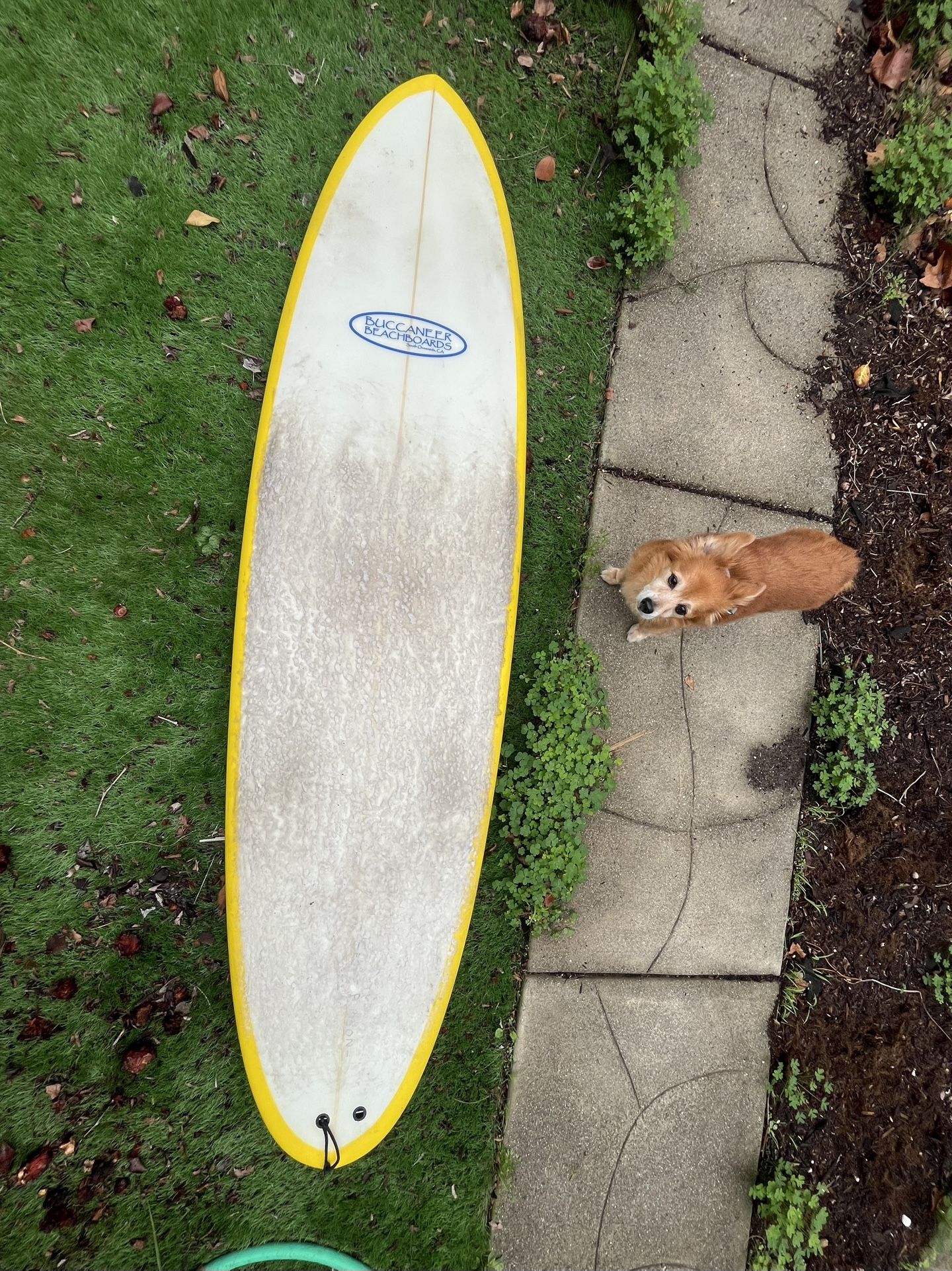 7’-1” Surfboard 