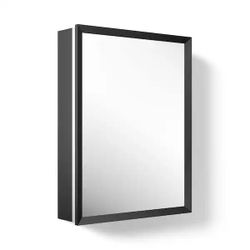 Embark 20 in. W x 26 in. H Rectangular Framed Medicine Cabinet with Mirror