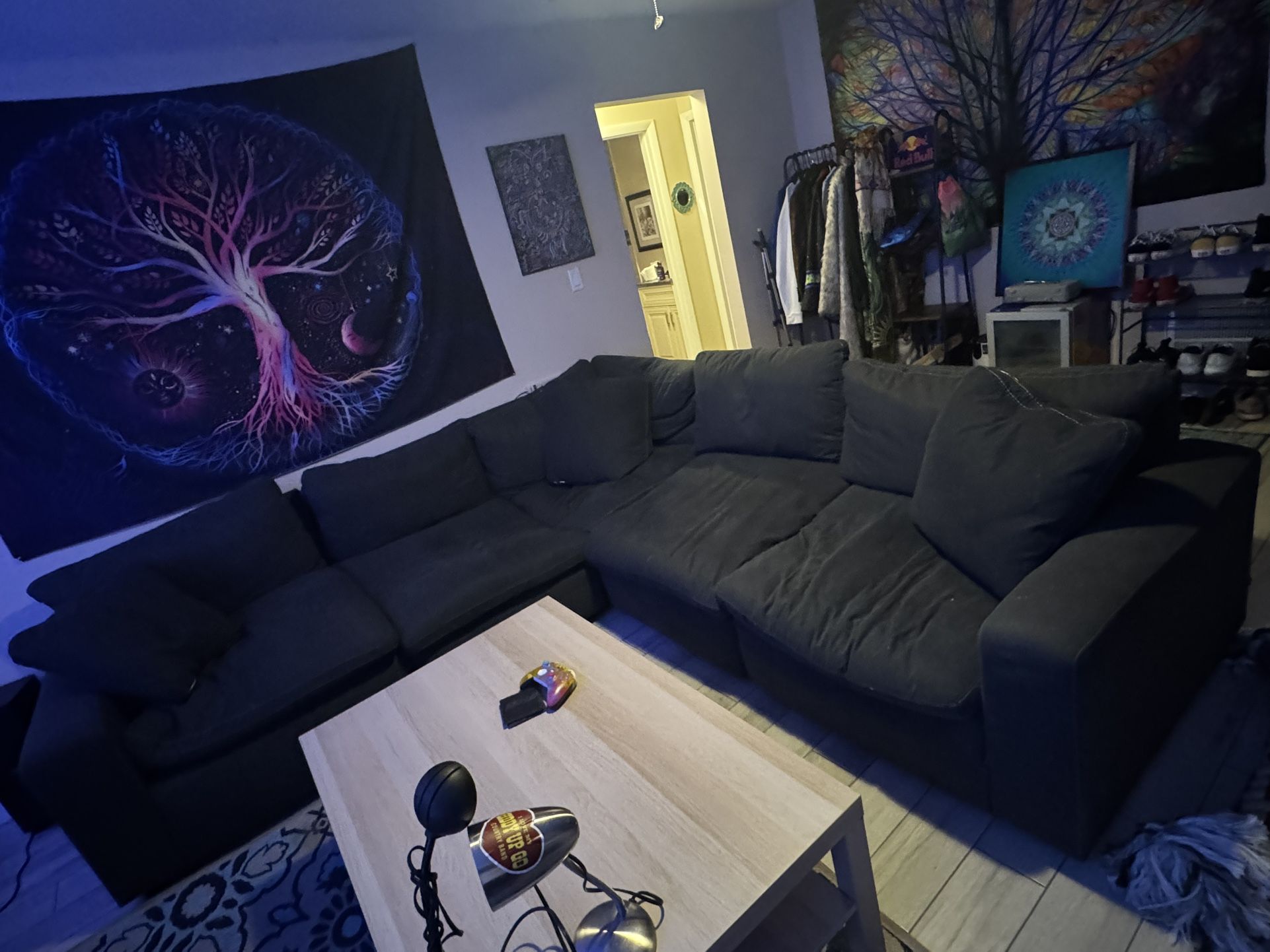 Sectional Couch