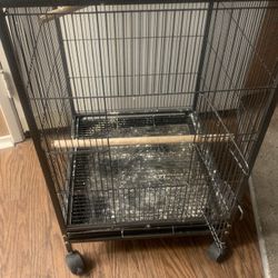 Bird Cage 