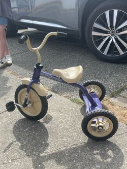 University of Washington tricycle