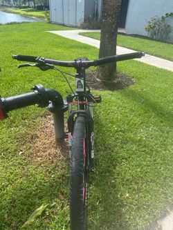 Trek 29 in. Bike