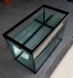 20-Gallon Fish Tank