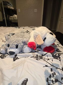 Dog toys
