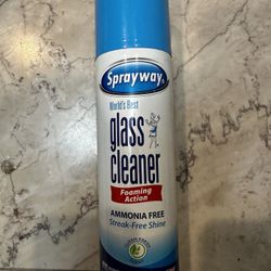 Sprayway 19oz Glass Cleaner