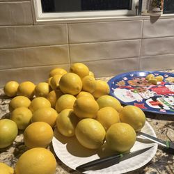 LEMONS & ORANGES BY THE POUND 