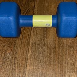 20 Lbs Dumbbell Hand weight(Only one)