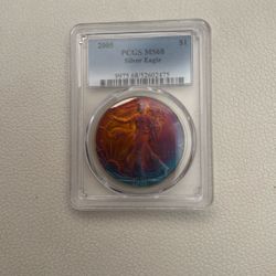 2005 Silver Dollar Toned