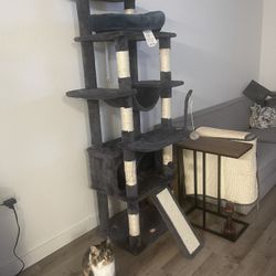 Cat Tower 