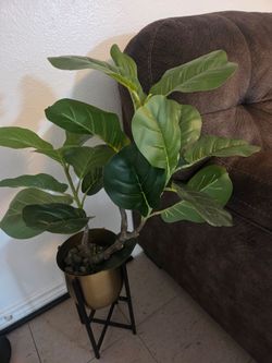 Plastic plant