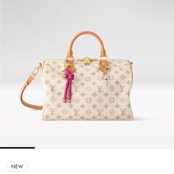 Louis Vuitton Soft Speedy 30 Lucky