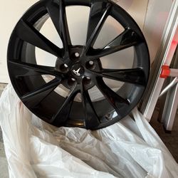 Tesla Rims 