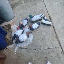 Duck Decoys For Hunting