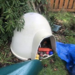 Dog House 