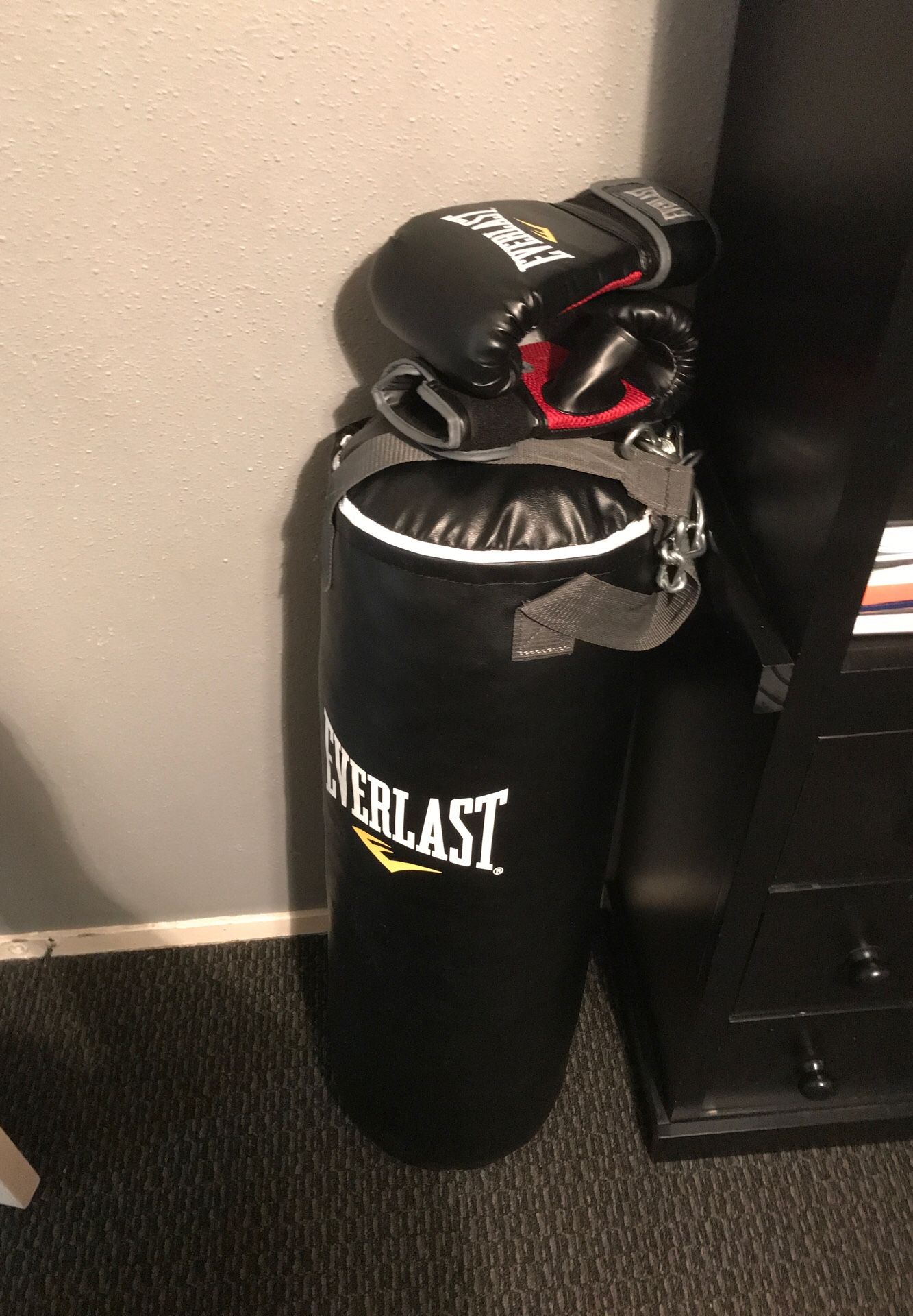 Everlasting Punching Bag/Gloves