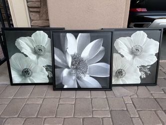 Set of 3 a Canvas flower pictures