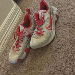 Giannis Antetokoumpo Shoes