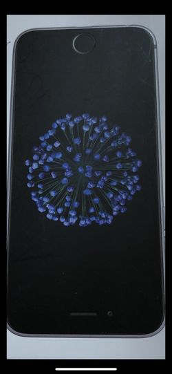 iPhone 6 brand new
